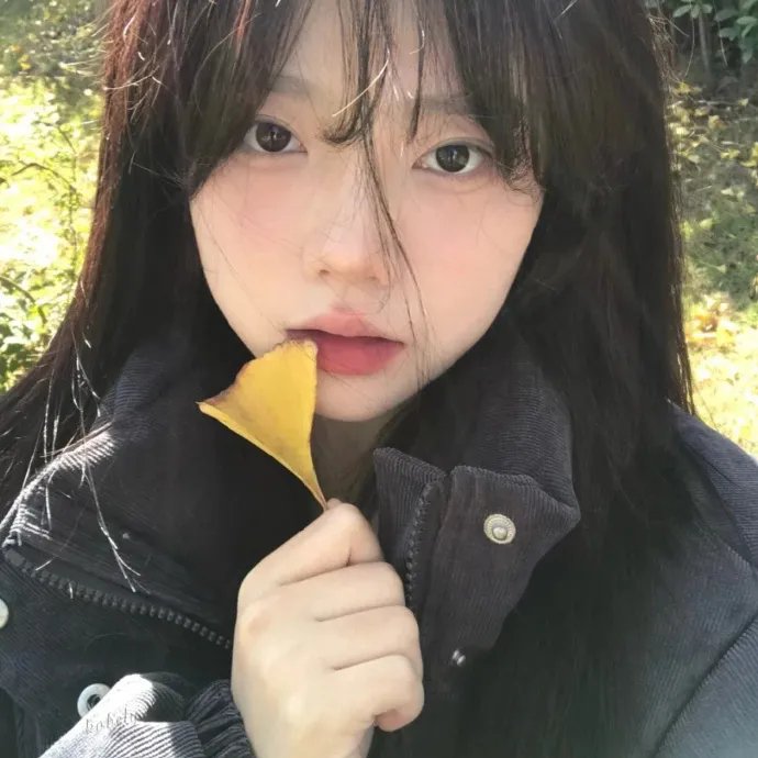看狗在说话